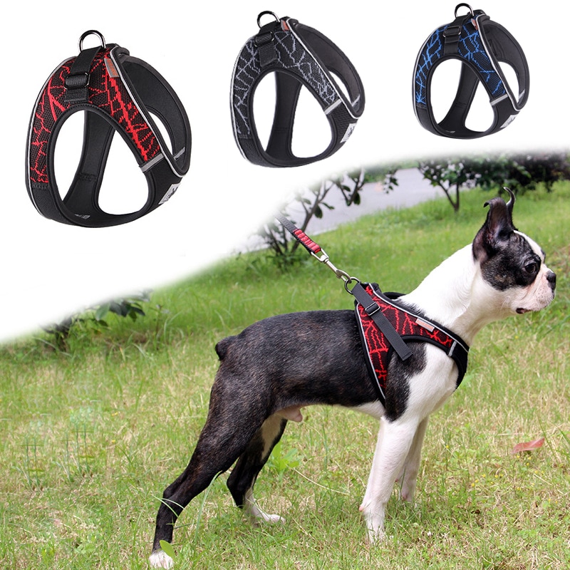 Verstelbare Hond Harnassen Vest Geen Pull Chihuahua Puppy Kat Harness Leash Set Voor Kleine Middelgrote Honden Warm Hond Wandelen levert