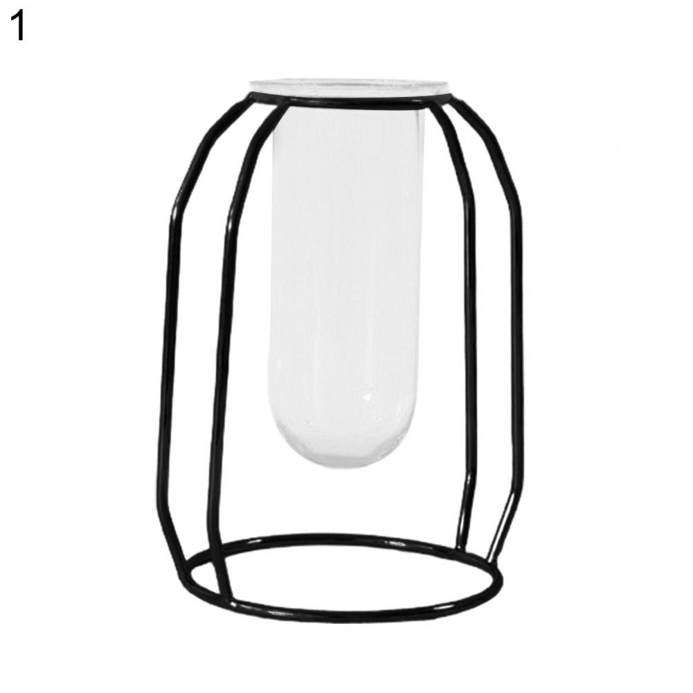 Glass Vase	Hydroponics Terrarium Portable Reusable Glass Air Plant Terrariums Propogation Station Home Decor: Black  1