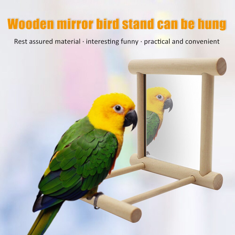 De Madera del espejo de juguete divertido Brid juguete para Cockatiel loros juguetes pequeños de pájaros y loros loro mascota accesorios para escalar
