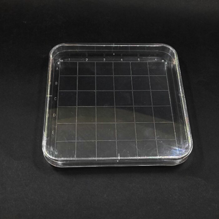 10Pcs Clear 10*10Cm Geschaald Vierkante Plastic Petrischaal Met Deksel, Cultuur Schotel
