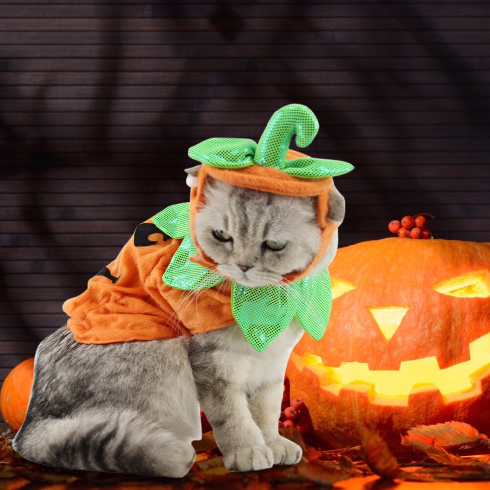 Pumpkin Cat Clothes Funny Cat Halloween Costume with Headdress Cat Clothing Halloween Clothes Dressing Up