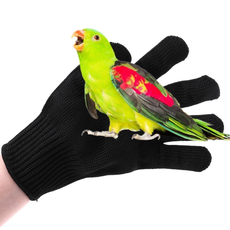 Fugle anti-bid handsker papegøje hamster tygge arbejdssikkerheds beskyttelseshandsker  h7ed