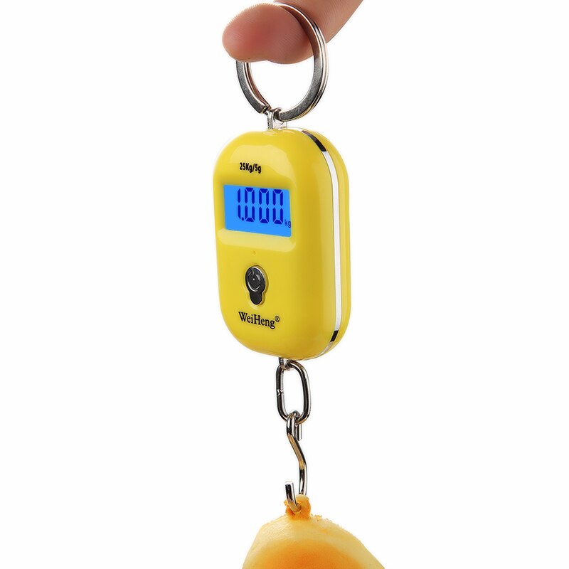 Hangweegschalen, 300kg/600lb Weegschaal Mini Digitale Kraan Hangende