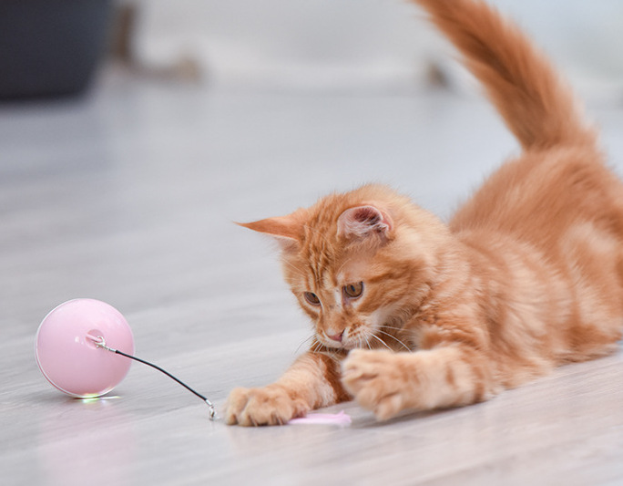 Eléctrico pelota juguete para gato interactivo de carga USB automáticamente a Rolling gatos jugando juguete de bola luminosa LED gato de juguete