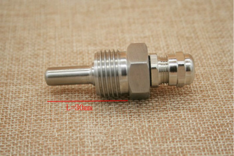 Thermowell Lengte 30mm draad 1/2 "(DN15) rvs 304