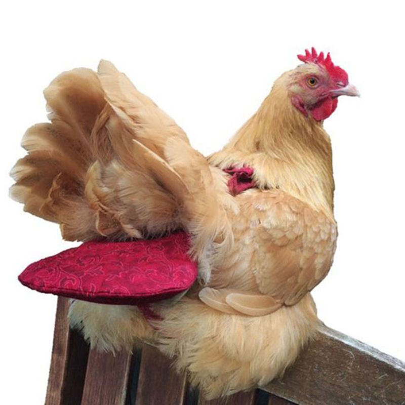 Couche pour animaux de compagnie lavable Portable Portable volaille couche canard coq poule oie Pigeon couche défécation positionnement Carapace S/M/L