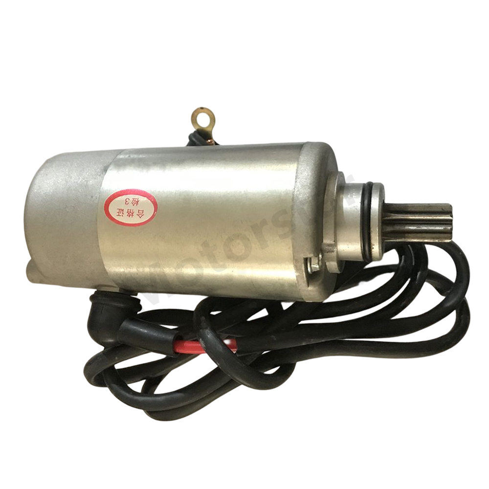 Starter Motor Assy With Wires For Bashan 300CC Baja Wilderness Trail 250 WD250-U
