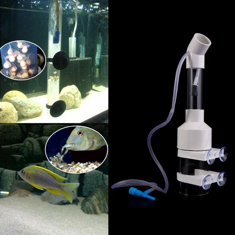 Incubateur à gobelets pour Aquarium, couveuse d&#39;œufs de poisson au lieu de l&#39;éclosion