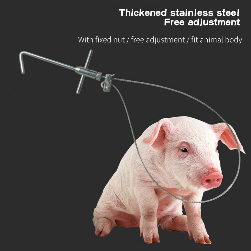Pig Catcher Adjustable Labor-saving Corrosion Resistant Stainless Snare Pig Catcher for Farm Pig Catcher domestic animal Catcher