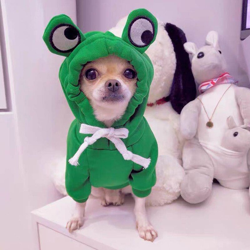 Medium Kleine Grote Herfst Winter Hoodies Kikker Ropa Para Perro Hond Kleding Twee-Legged Hooded Outfits Groen Fleece Kleding