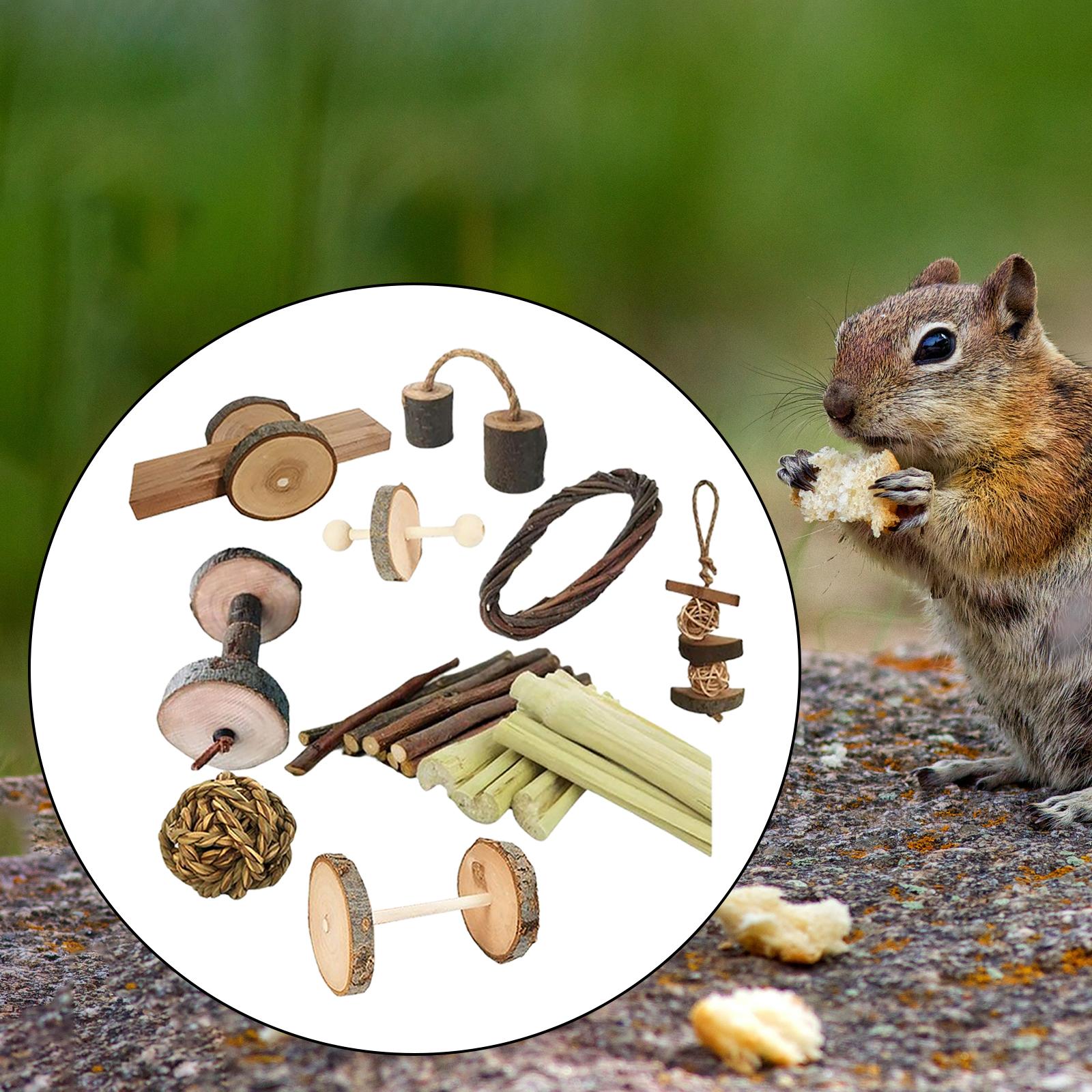 Hamster Rabbit Chew Toys Set Bite Grind Teeth Toys Guinea Pig Toys for Rabbit Rat Bunny Chinchillas Dwarf Hamsters Teeth Care: F