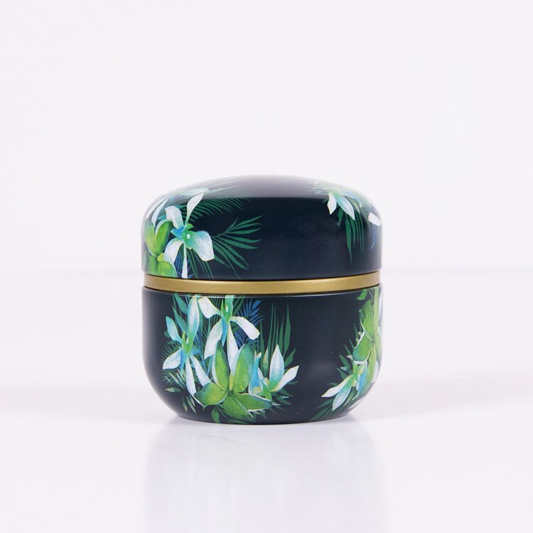 Tea Tin Box General Tinplate Household Sealed Tea Packaging Box Carrying Small Tin Cans for Japanese Scented Tea: Style 6