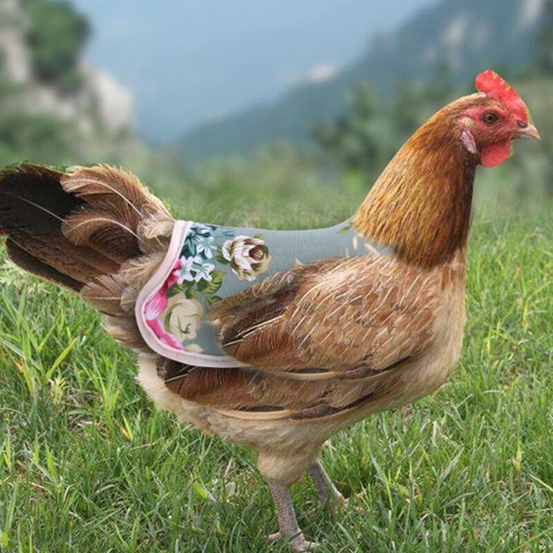 Chaleco elástico de encaje de pollo para mascotas, ropa de aves de corral, pato, sillín, delantal de protección, 667A