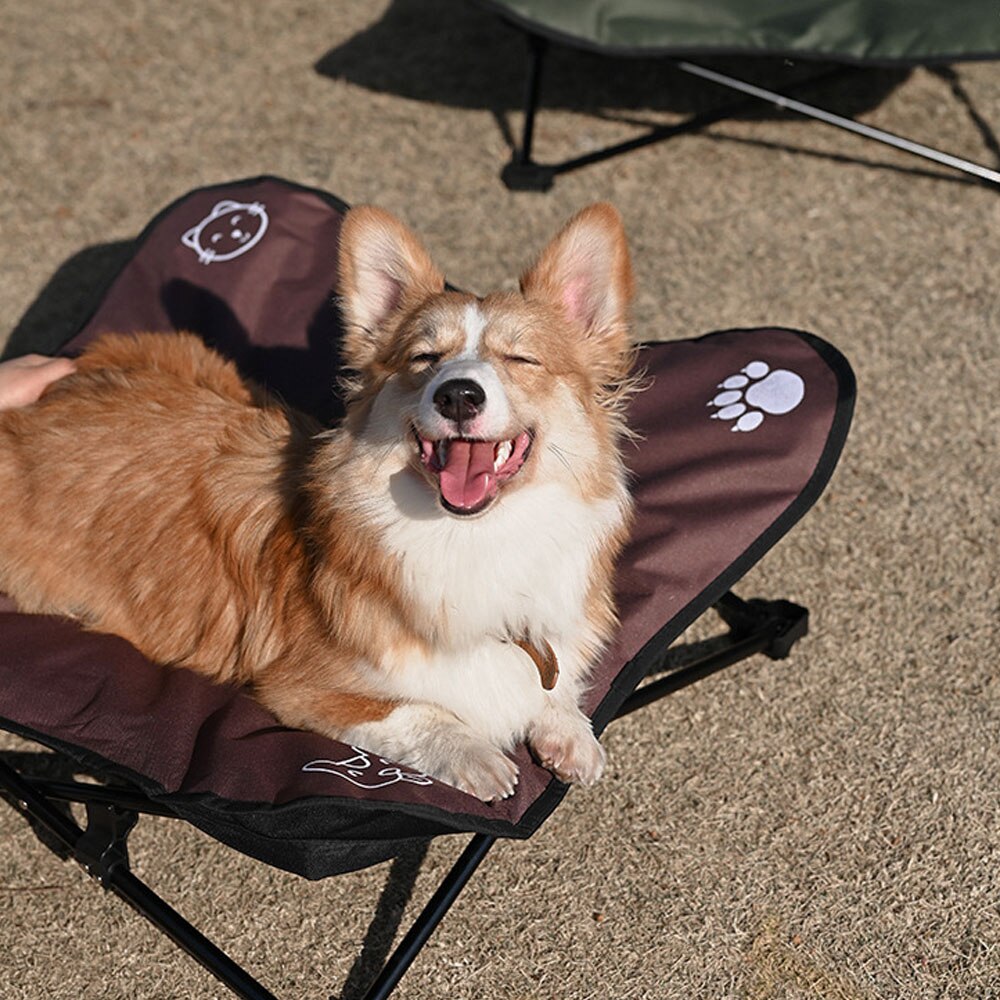 Lit pliant d&#39;extérieur pour chiens, couverture Portable pour chats, tapis de coussin pour animaux de compagnie, canapé pour petits et grands chiens, Camping, couchage avec sac de transport