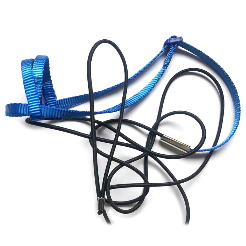 Correa de arnés para pájaros y loros, correas de tracción voladoras para exteriores, banda ajustable Anti-entrenamiento, cuerda de mordida: Azul / XS