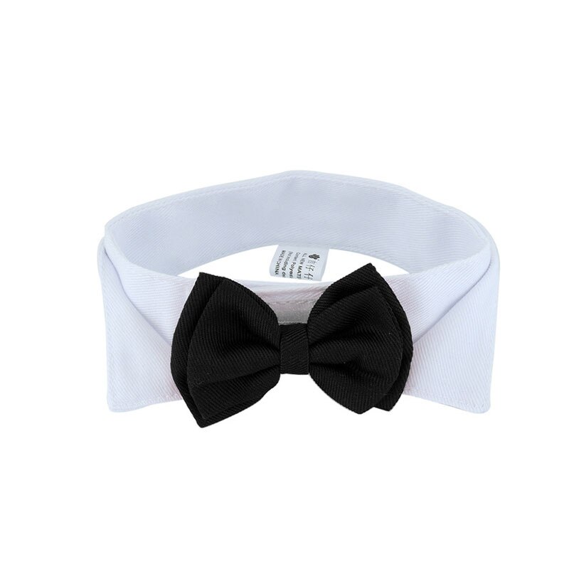 Haustier Katze Fliege Einstellbare Haustier Hals Krawatte Kostüm Formale Hund Kragen für Kleine Hunde und Katzen Haustier Zubehör für hochzeit Party: Schwarz / L