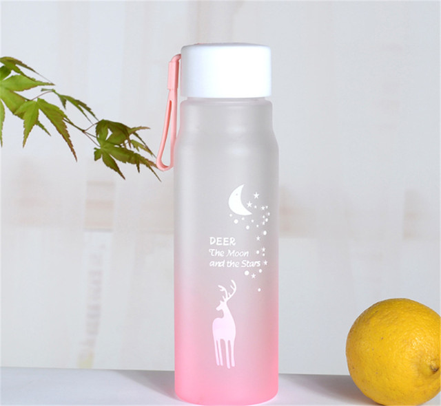560Ml Sport Water Fles Outdoor Draagbare Gradiënt Frosted Plastic Drinkbeker Meisje Lekvrij -Proof Shaker Mok Waterkoker: Pink1