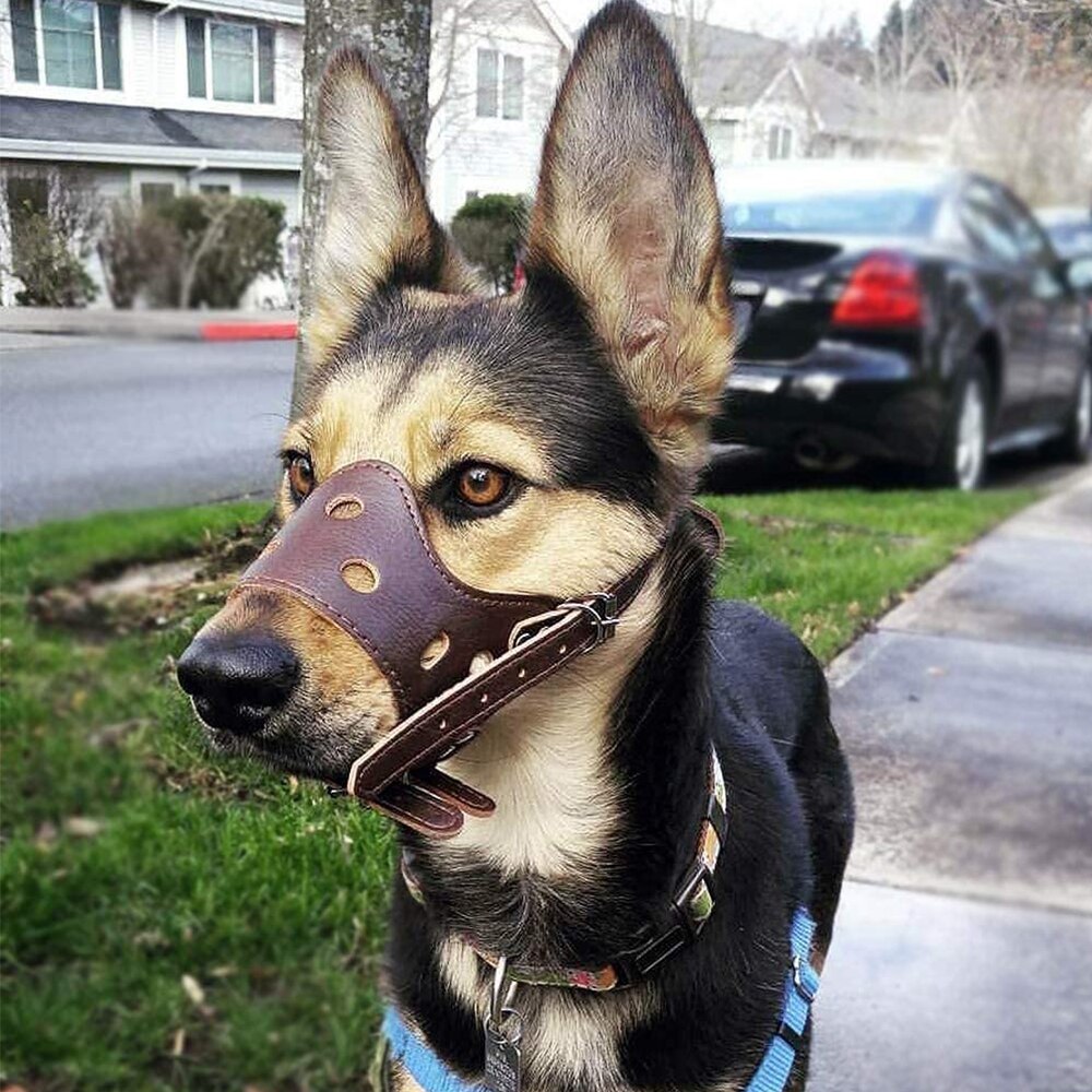 Cuero de la PU perro bozal ajustable transpirable Mascarilla Anti ladrar morder masticar seguridad suave bozales formación para pequeñas perros grandes de la boca
