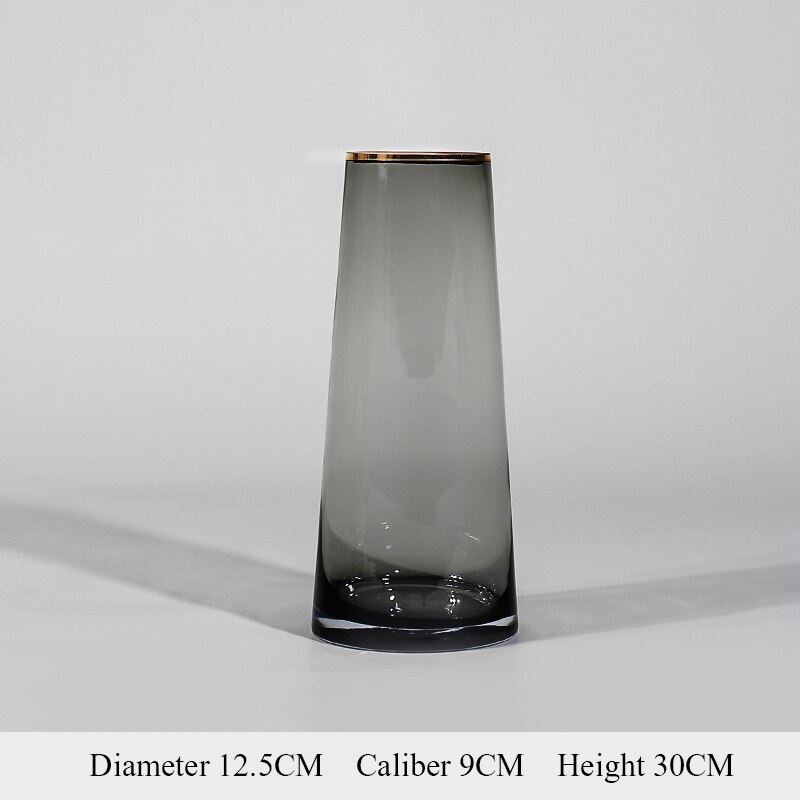 Simple Style Golden Circle Transparent Glass Vase Living Room Decoration Water Flower Glass Bottle Garden Decoration: L