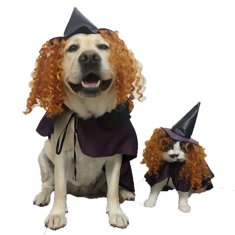 Dog halloween clothes