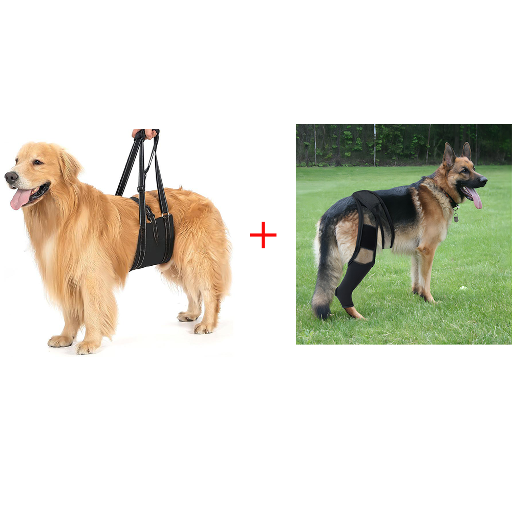 Dog Lift Harness Adjustable Dog Sling for Back Legs Support Rehab Harness for Weak Rear Legs Pet Aid Assist Tool For Elderly Dog: GRAY