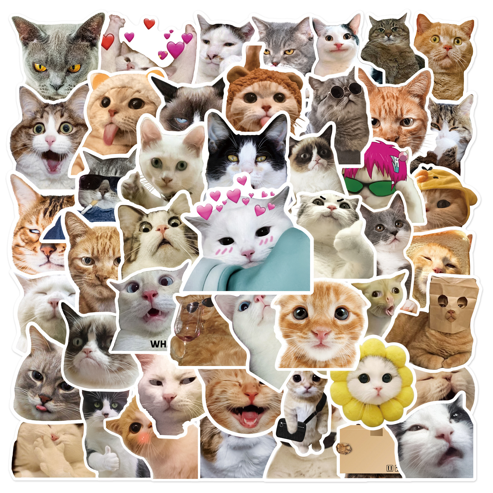 10/30/50 PIÈCES À La Mignon Dessin Animé Réaliste Chat Graffiti Tasse Décoration Intérieure BRICOLAGE Étanche PVC Autocollant PersonaliToys