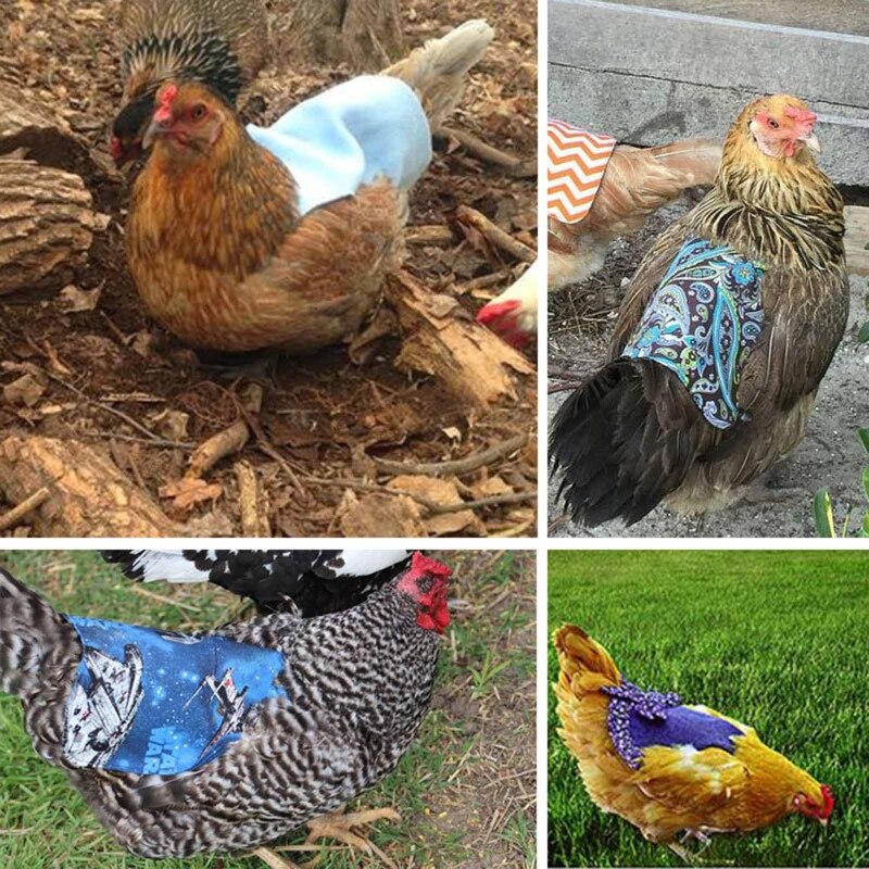 Tablier de selle de poulet pour poule, Protection de moulage pour volaille, Protection arrière à ailes avec sangles élastiques, couleur unie Q84D