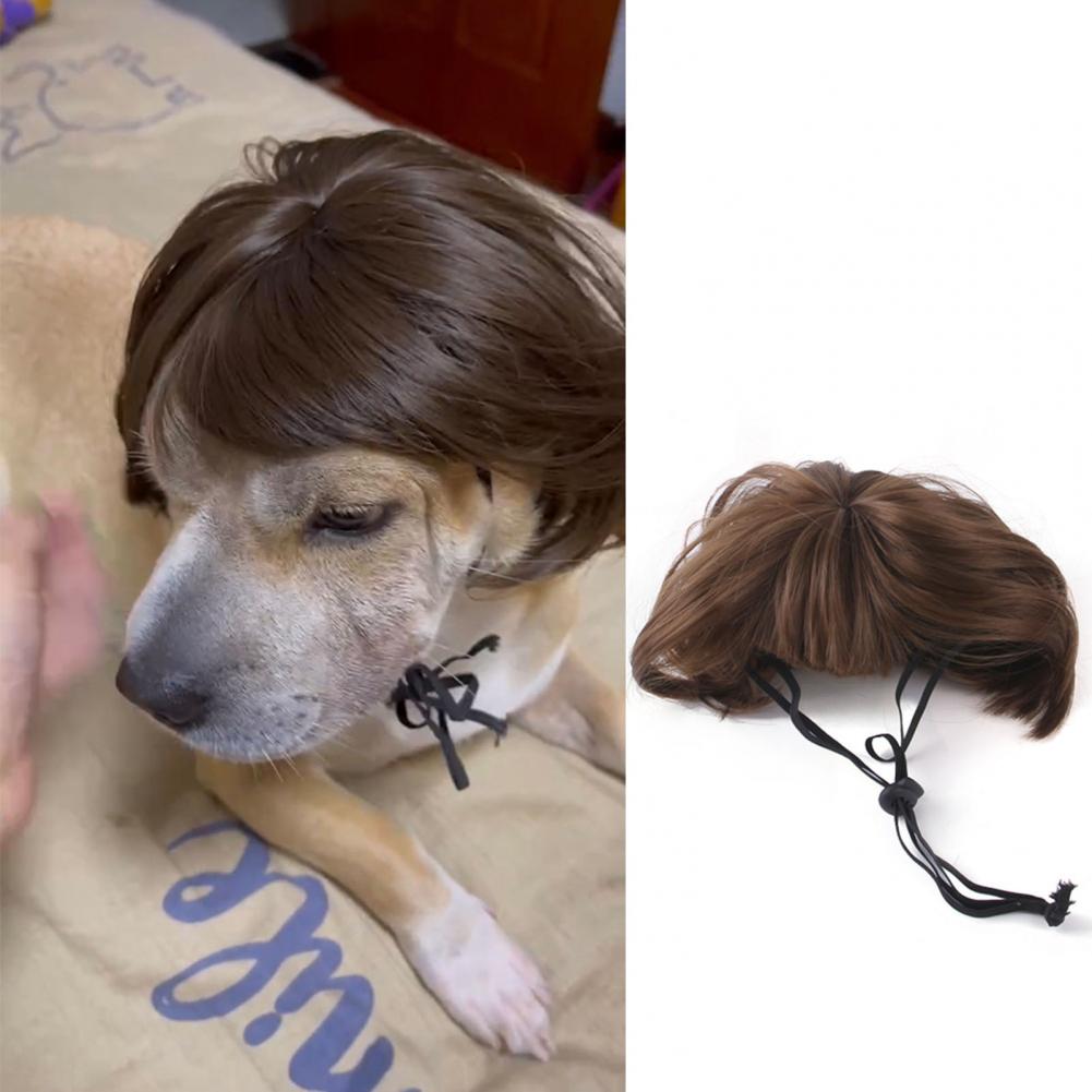 Perruques pour animaux de compagnie, en Fiber de Nylon, libère rapidement la perruque pour chien, Costumes pour Cosplay, tenues d&#39;anniversaire pour chien