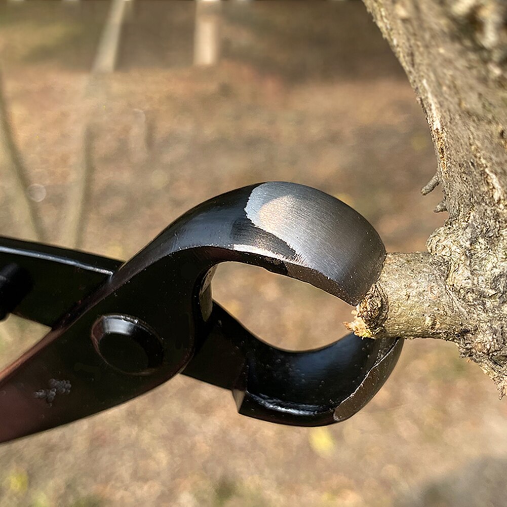Cortacésped cóncavo de 8.27in, herramientas profesionales para bonsái, podadora de plantas, cortador de borde redondo para jardín, tijeras para principiantes, cuchillo, herramientas de jardinería