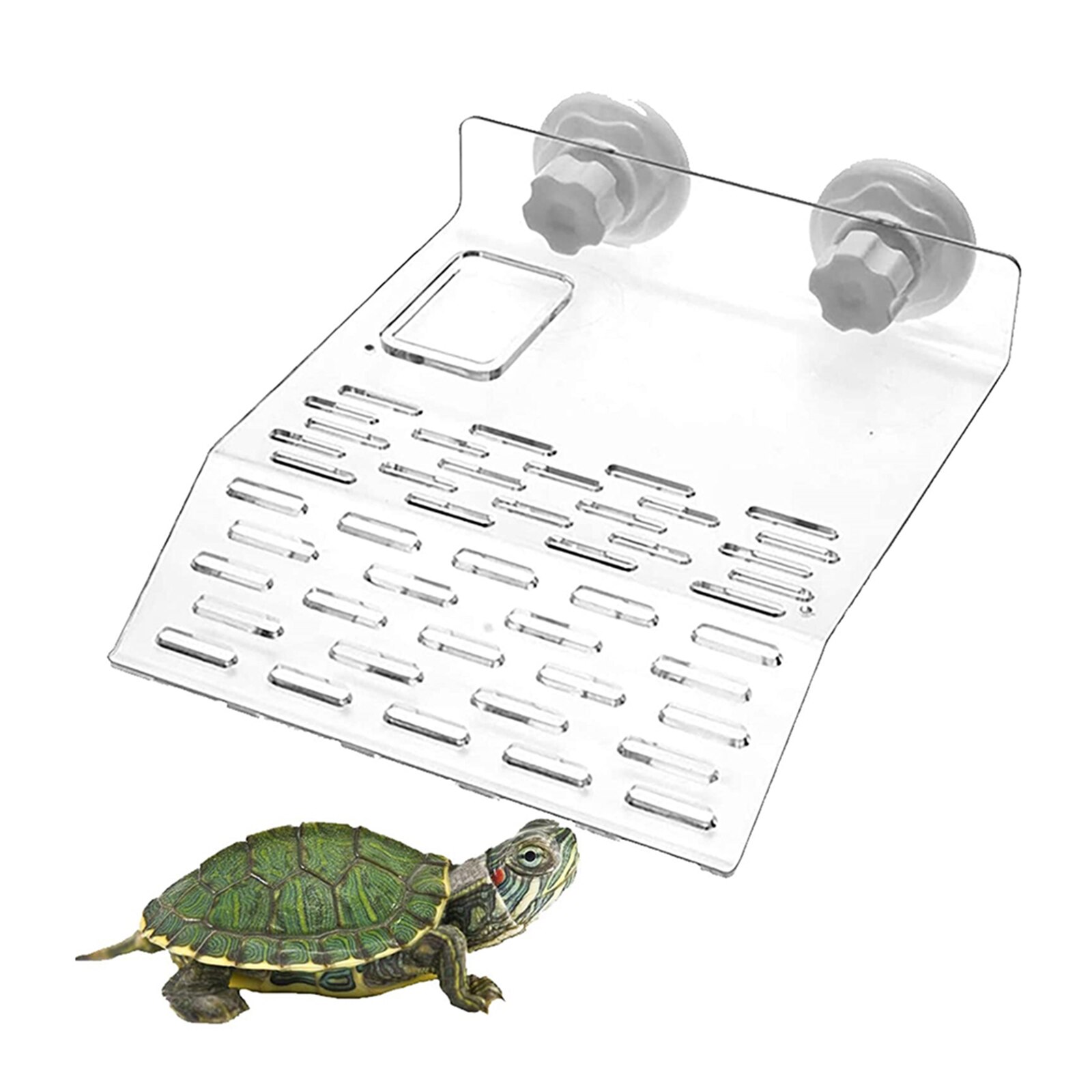 Turtle Pier Dock Basking Platform Shelf Ramp Steps... – Grandado