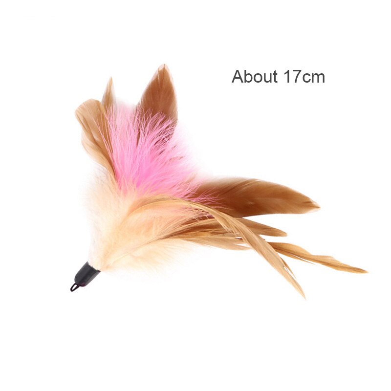 pawstrip 5pcs/lot Cat Ball Toy With Jingle Bell Inside Kitten Toys Pet Cat Teaser Colorful Balls Toy For Cats Diameter 3.5 cm