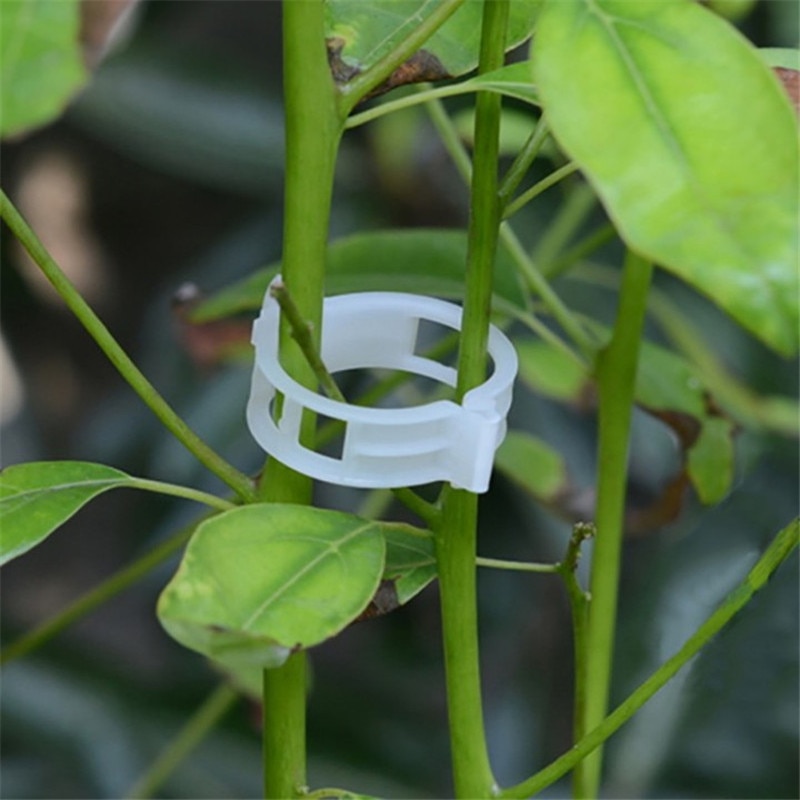 50 stk/parti genanvendelige 25mm plastik plantestøtteklemmer klemmer til planter hængende vinhave drivhusgrøntsager tomatclips