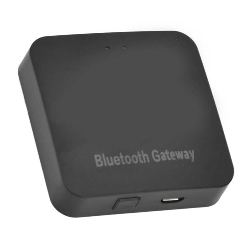 Bluetooth WiFi Gateway Receive Better Signal USB Irrigation Gateway for Balcony