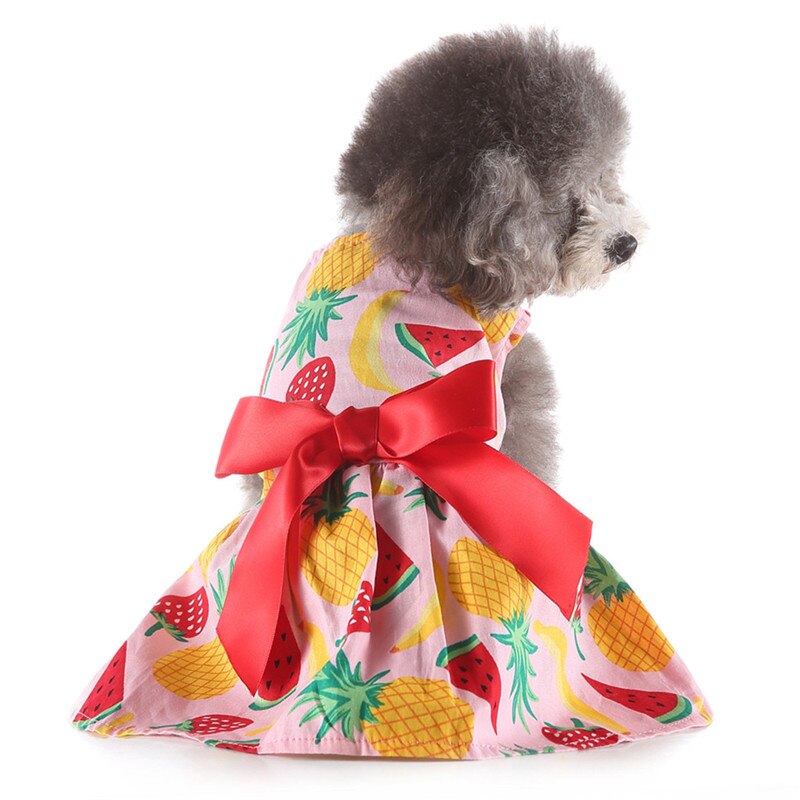 Pet Spring And Summer Fine Fruit Print Dog Costumes Pet Dog Skirt Pet Dresses For Small Large Dog Bubble Skirt Stripe Lace A1