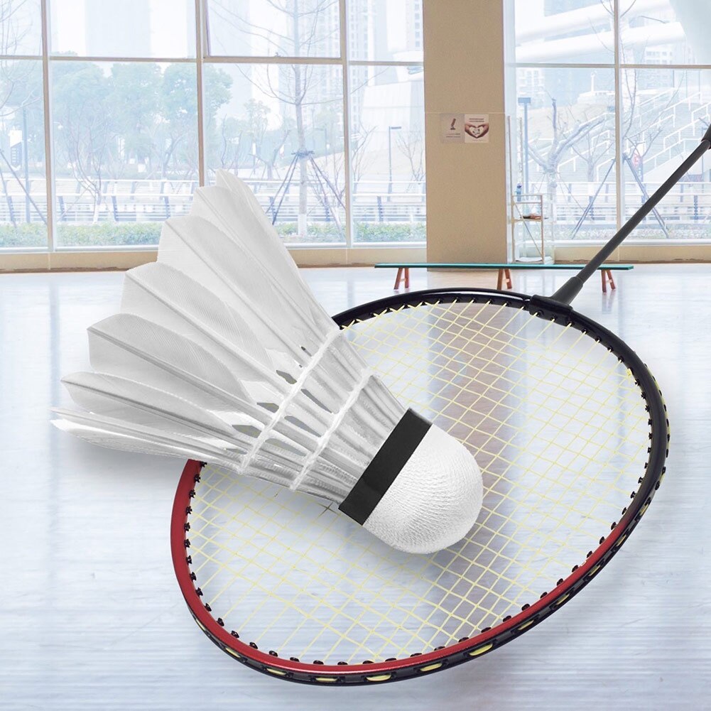 4 Stck LED Badminton Federbälle Beleuchtung Vögelchen Federball glühend Badminton für draussen Sport RW