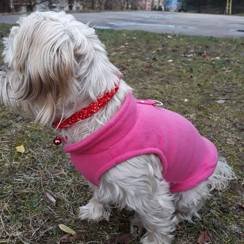 Colliers en dentelle pour chien, chiot, chat, motif à pois, chaîne de cou ajustable avec cloche, pour animaux de compagnie, directe d'usine