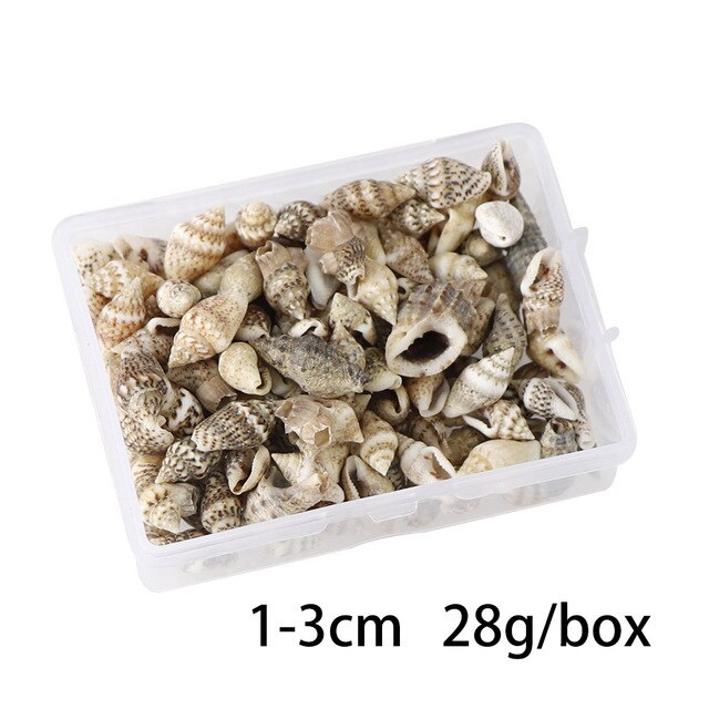 100 PCS Boxed Natural Conch Shells Mini Conch Corn Screw Wall Decoration DIY Aquarium Landscape Seashells Jewelry DIY Craft: Chocolate