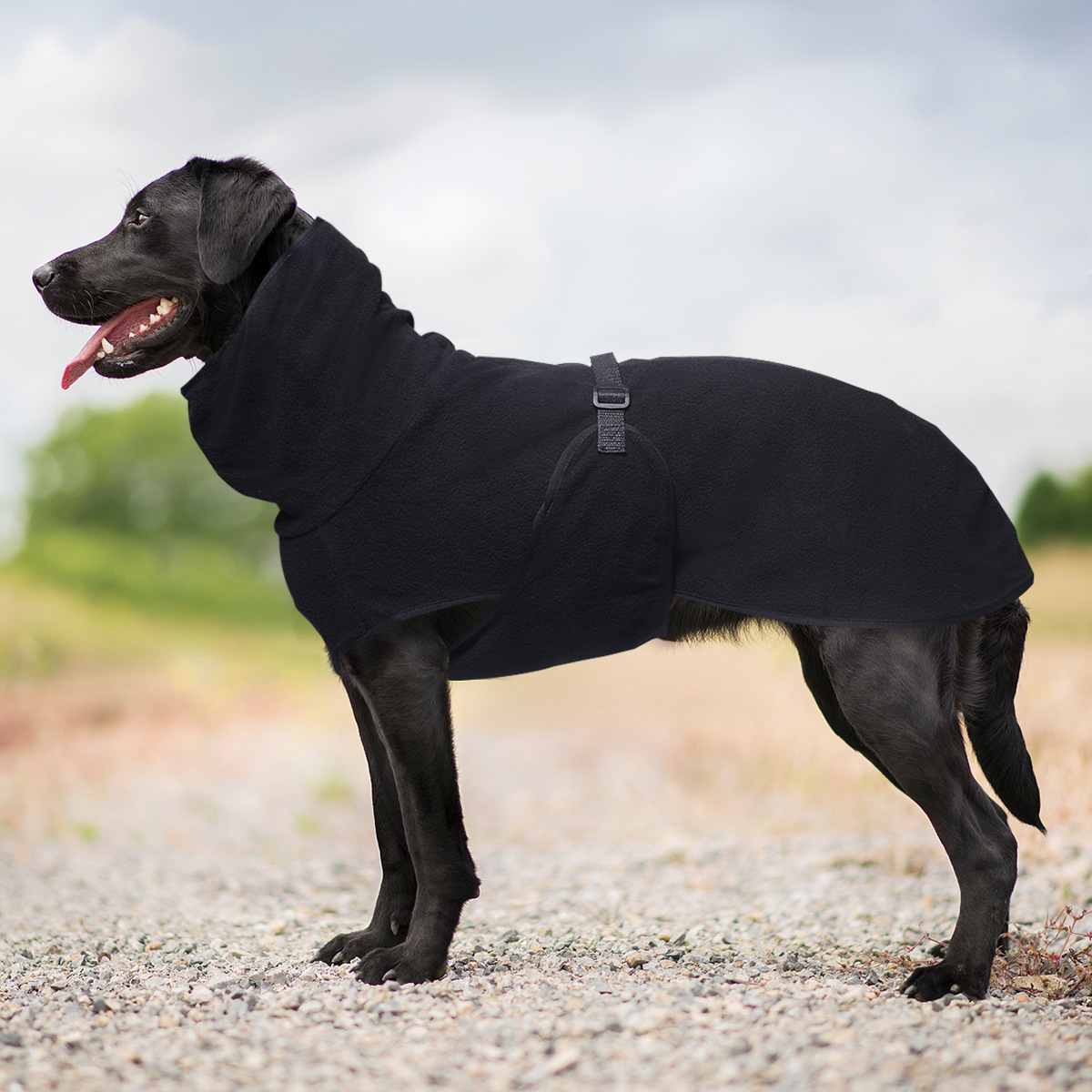 Winter Pet Dog Clothes Warm Big Dog Coat Puppy Clothing Pet Vest Jacket For Small Medium Large Dogs Golden Retriever: S / black