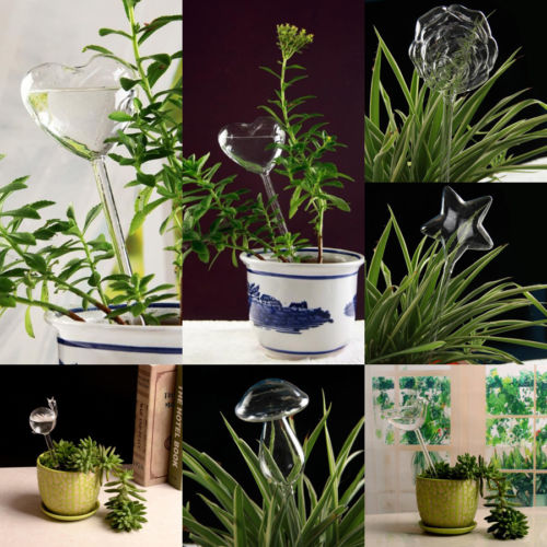 Alimentador automático de agua para plantas y flores, dispositivos de autorriego, alimentador de agua de vidrio transparente, forma de pájaro, 6 formas