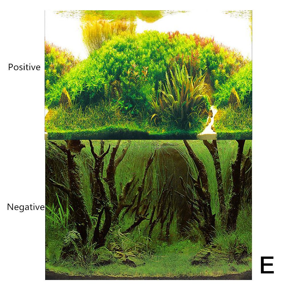 Acquario paesaggio adesivo manifesto serbatoio di pesce sfondo 3D adesivo per pittura oceano a doppia faccia piante marino sfondo acquario arredamento: E / 30x52cm