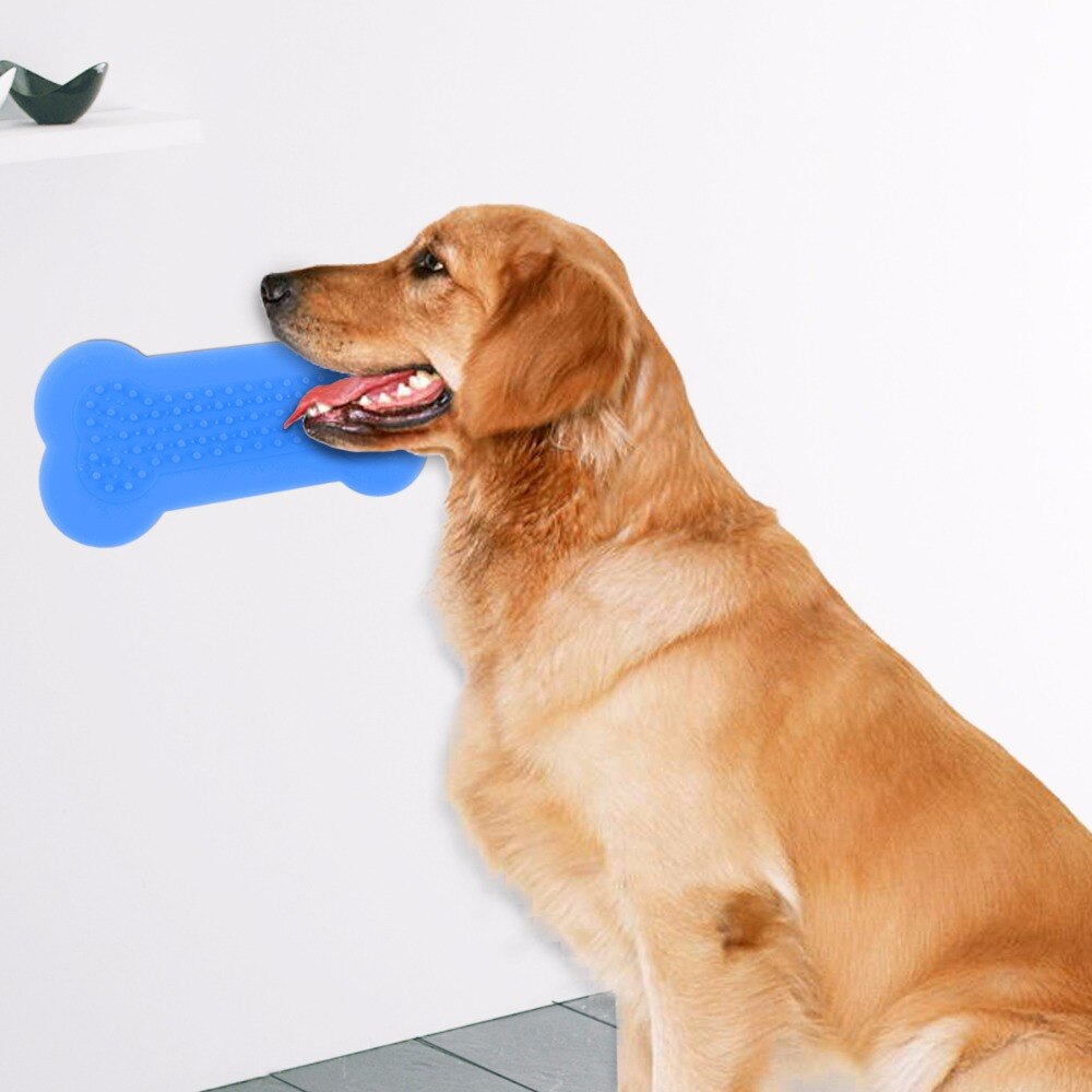 Jouet de bain en Silicone 1 pièce | Tampon, Lick de chien, lavage de chien, Distraction, jouet de bain pour chiens, facile à utiliser, outil d'entraînement pour la douche