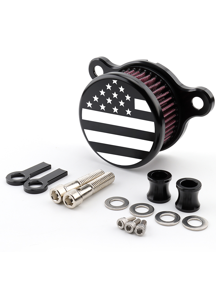 Système d'admission de filtre à Air de crâne de moto pour Harley Sportster XL883 XL1200 Iron 883 quarante-Eghit soixante-deux Nightster: Argent