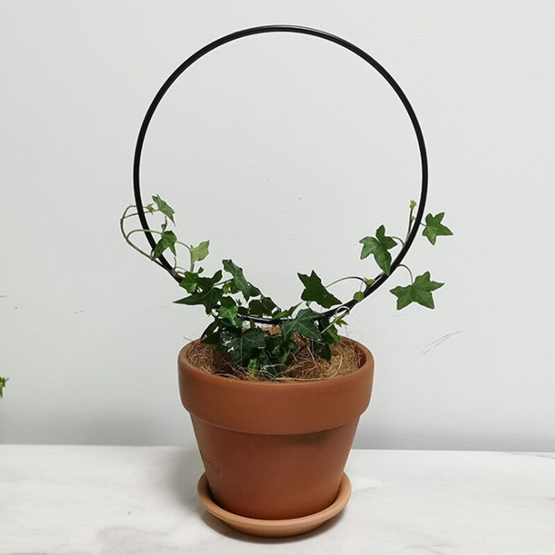 Planteunderstøttelse have espalier klatrestav cirkel rund form stativ vinstokstativ til mini indendørs planter blomster grøntsager