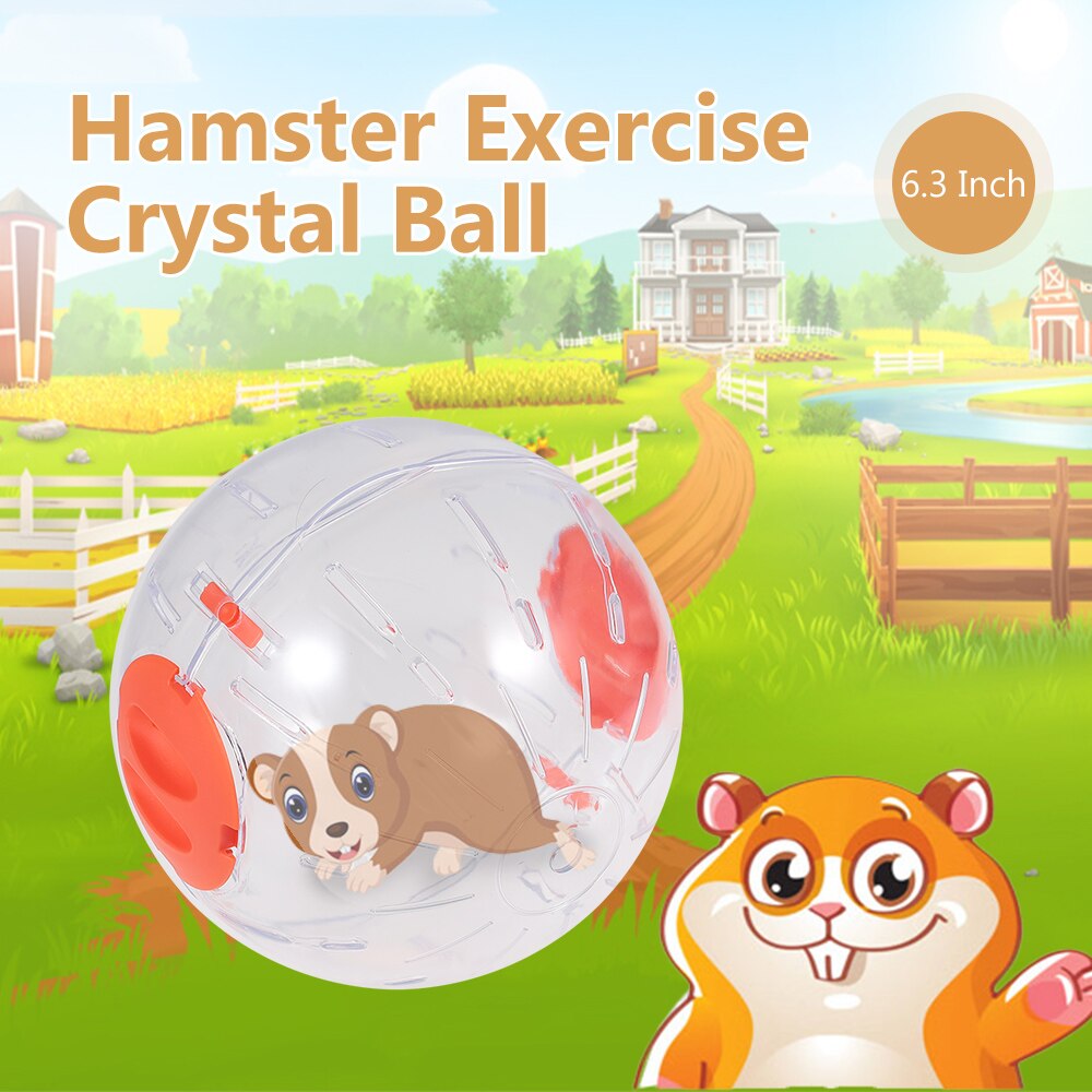 Plast gnaver mus jogging bold legetøj 6.3 tommer klar hamster gerbil rotte træningsbolde lege legetøj