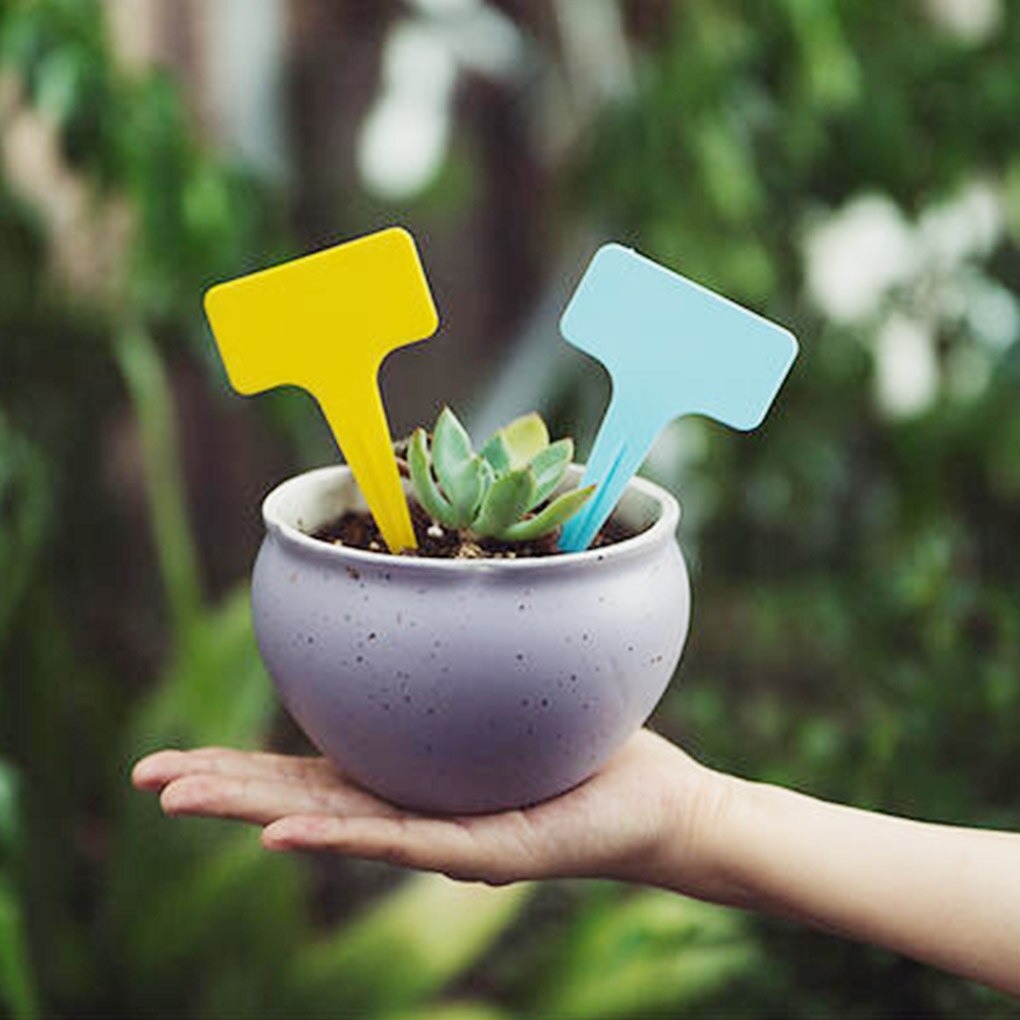 100Pcs Pp Plant Bloem Labels Yard Plant Tabs Nursery Tool Tuinieren Teken 10x6cm