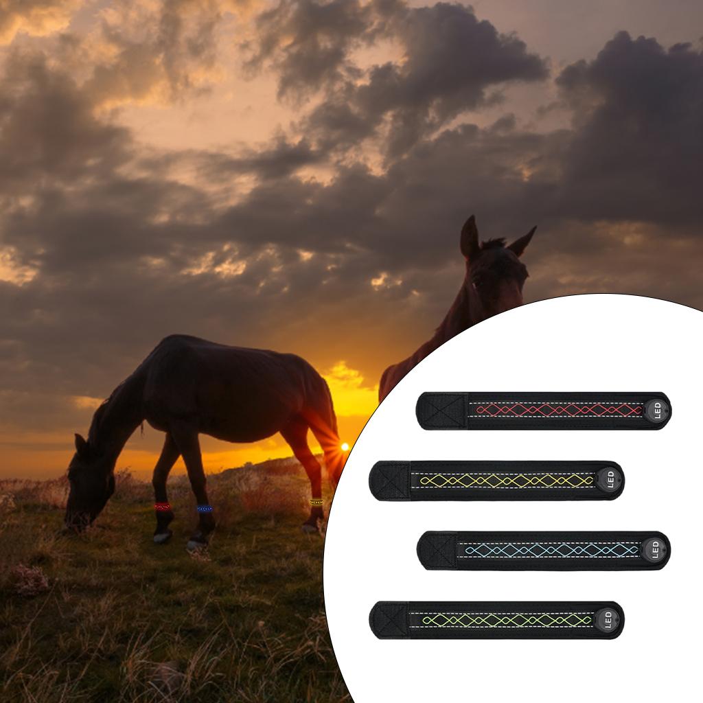 4 pezzi illuminazione a LED cinturino per gambe di cavallo avviso di sicurezza regolabile fornitura equestre Legging alla caviglia cintura riflettente impacchi per Legging