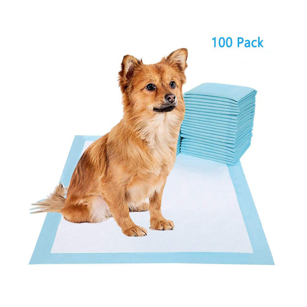 Hond Aankleedkussen Multi-Size Super Absorberende Luier Huisdier Kat Training Pee Pad Mat Puppy Nappy Pet Cleaning voor Hond Luier