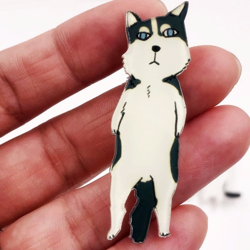 1Pcs Goede Acryl Pin Grappige Hond Kat Pictogram Broche Mooie Badge Decoratie Op Rugzak Kleding Sjaal Hoed Decoratie op Zak: Multi-Colored