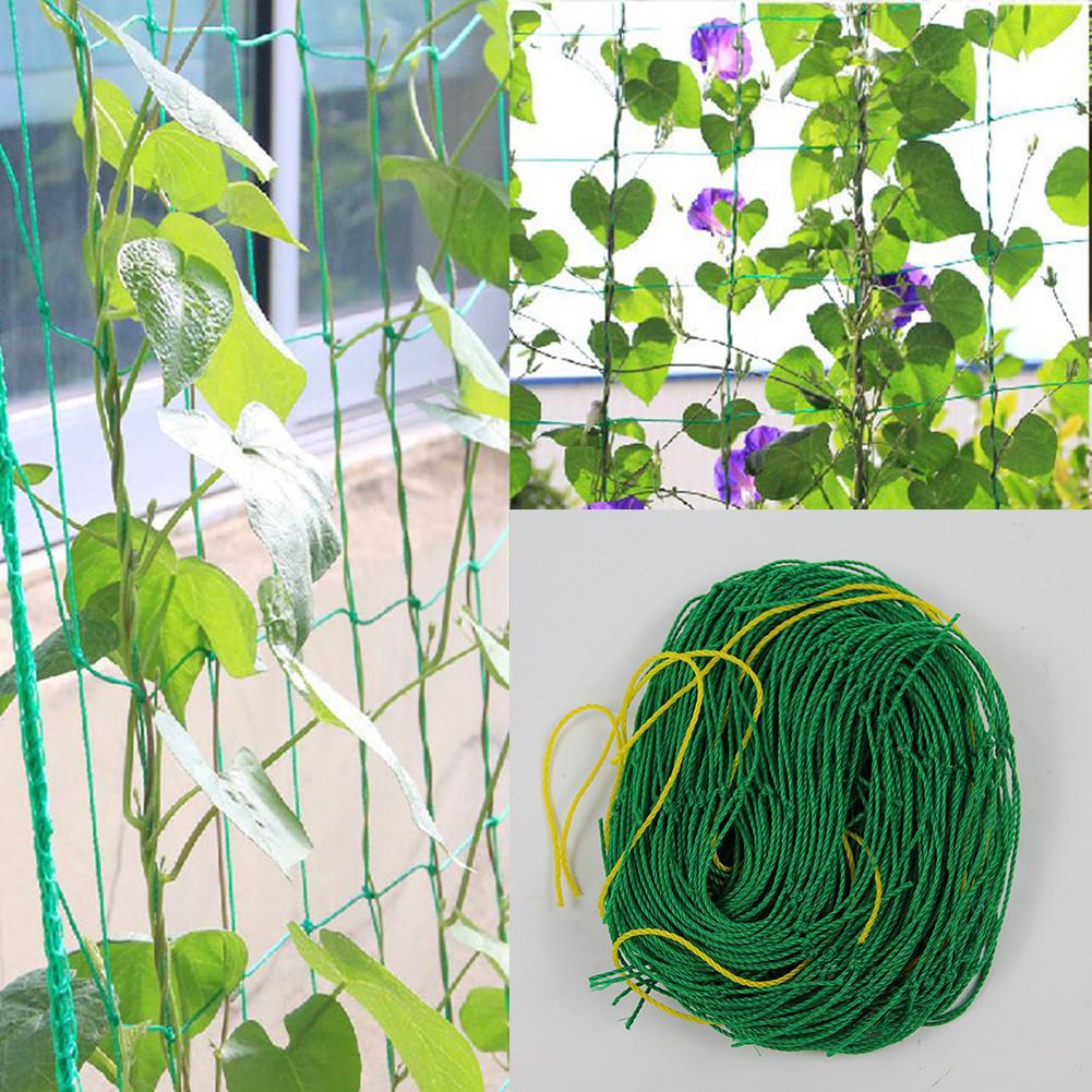 Filet grimpant pour plantes 1.8x1.8M | Filet pour grimper les plantes, les fruits, la gloire du matin, la vigne, la vigne, le concombre, treillis végétal