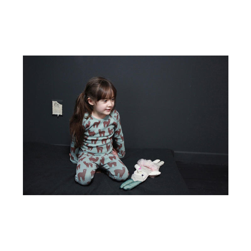 Kinderen Casual Pyjama Animal Print Lange Mouwen Ondergoed Homewear Nachtkleding Nachtkleding Meisje Suits